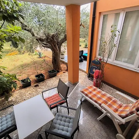 Apartman Kiki's - *