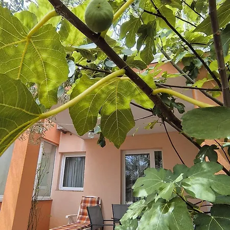 Kiki's - Fažana